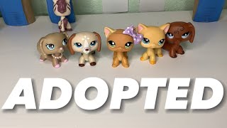 Lps: Adopted - short film