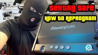 How To Reprogram Sentry Biometric Gun Safe | Full Guide