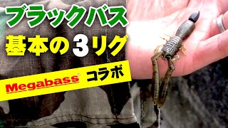 ブラックバス初心者のための基本の3リグ！【Megabass】【YOSHIKI】