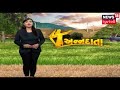 મરચાની ખેતીમાં drip irrigation નો પ્રયોગ annadata news18 gujarati