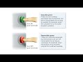 biol260 04 02 control gene expression prok