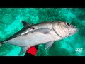 target fish safety first spearfishing philippines