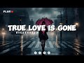 True Love is gone - NiExshadow [Official Lyrics]
