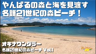 全く新しくなった名護球場と２１世紀の森ビーチ！