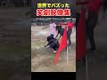 「秒で笑える！バズった瞬間集」 爆笑 おもしろ動画 viral funnyfails 笑撃