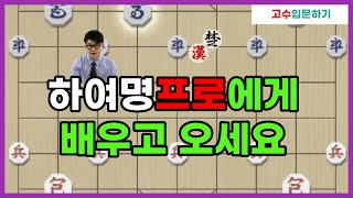 제대로된 양귀마를 두고 싶으시다면 하여명프로를 찾아가세요!!~[이사범장기스쿨]