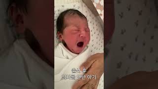 출산 직후 엄마를 본 아기의 반응 #쇼츠 #shorts #신생아 #baby #5시간