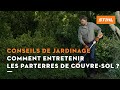 Comment entretenir les parterres de couvre-sol ? - Conseils de jardinage STIHL