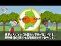 【パクリの末路】k国さん、日本のみかんを盗みまくった結果➡日本の反撃でk国みかん920トンが完全消滅・・・【グレートjapanちゃんねる】