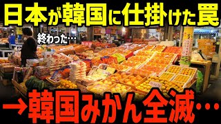 【パクリの末路】K国さん、日本のみかんを盗みまくった結果➡日本の反撃でK国みかん920トンが完全消滅・・・【グレートJAPANちゃんねる】