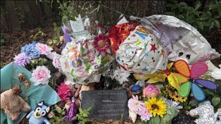 Newly released warrants raise new questions in unsolved Plant City deaths
