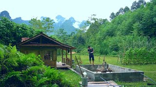 Harvesting cucumbers, Perfecting aquariums - Living alone in the wilderness | Ep.148