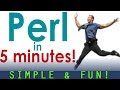 How to create your first PERL script in 5 minutes! Energetic presentation!