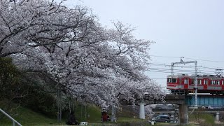 神戸電鉄粟生線美嚢川橋梁 通過4連発