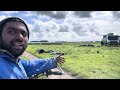 daily routines dairy farming in new zealand 🇳🇿 travelfarmer viralvideo