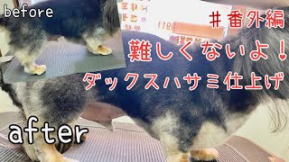 ♯番外編　ダックスのハサミ仕上げ　【トリマー】