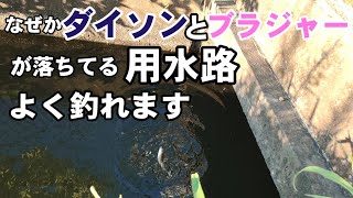 ダイブラ用水路で１時間で小物数釣りに挑戦！【埼玉県越谷市】【microfishing in japan】