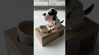 Dog piggy bank