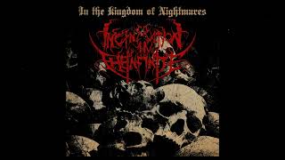 Incineration in the Infinite -  communauté In the Kingdom of Nightmares (Full Album)