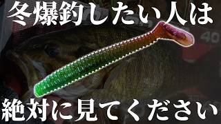 フォールさせるだけで爆釣の最強ワーム！水温一桁の冬でもレッグワームなら大爆釣です！【川スモール】