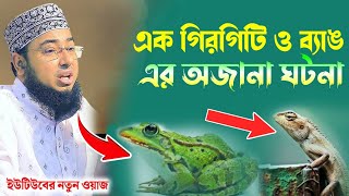 এক গিরগিটি ও ব্যাঙ এর অজানা ঘটনা || foridi new waz || মুফতি জহিরুল ইসলাম ফরিদী