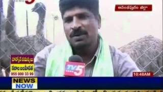 Telugu News - Famers Changed Their Roots Towards Emu Birds(TV5)