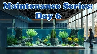 7 Day Maintenance Series - Day 6