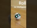 Amazing Intelligent Rolling Robot That Provides Kids and Pets Hours of Entertainment | Rollbot