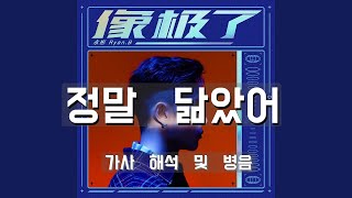 Ryan B - '정말닮았어'【像极了】/병음, 해석