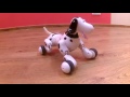 robo dog rc pes na dálkové ovládání