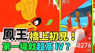 【鳳王 澳洲團體戰】''好鬼大風'' 橋上出擊！初見遇到 超高 IV神獸？《PokemonGO 香港中文攻略》寵物小精靈 (精靈寶可夢GO)