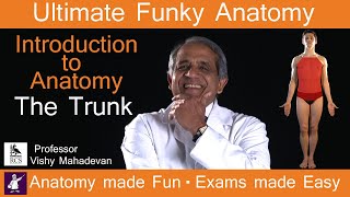 Introduction to Anatomy - The Trunk. Anatomy made Fun, Exams made Easy!