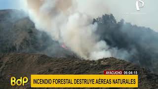 Ayacucho: incendios en Huamanga y Vilcashuamán consumen más de 25 hectáreas