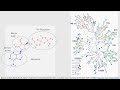 JAK inhibitors how and why they work in less than 10 min