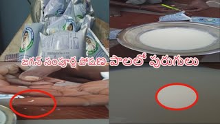 || 'జగనన్న సంపూర్ణ పోషణ' పాల ప్యాకెట్​ తీసుకున్నారా..? అయితే ఒకసారి చెక్​ చేసుకోండి..