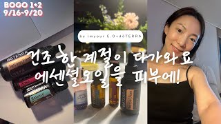 야로우폼, 로즈터치, 밸런스오일로 가을겨울철 피부관리 세럼만들기 레시피