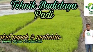 TEHNIK BUDIDAYA PADI !!! Paket pupuk dan pestisida CV.Bumi Hijau Production