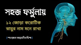 ১২ জোড়া করোটিক স্নায়ুর নাম ( Easy formula)  Special Tricks