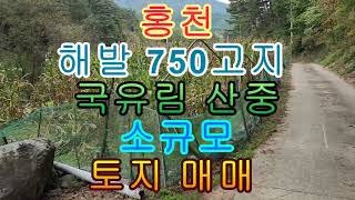 홍천 해발 750고지 국유림 산중 소규모 토지 매매724(219평)6600만