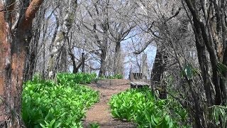 三国山 から 芦ノ湖西岸歩道（箱根町園地Ｐ～三国山～深良水門～芦ノ湖西岸歩道）