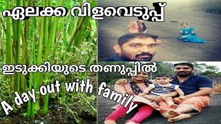 ഇടുക്കിയുടെ തണുപ്പിൽ ഒരു സായാഹ്നം❤️ | with family | ഏലക്ക കൃഷി തുടങ്ങിയാലോ 🤔🤔