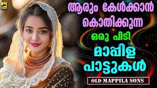 Mappilappattukal ആരും കേൾക്കാൻ കൊതിച്ച മാപ്പിളപ്പാട്ടുകൾ | Mappila Songs | Old Is Gold Mappila Songs