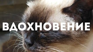 ПРИРОДА-ЦЕНТР НАШЕГО ВДОХНОВЕНИЯ #2