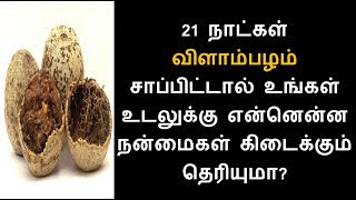 விளாம்பழம் சாப்பிடுவதால் கிடைக்கும் நன்மைகள் | Tamil Health Tips - Tamil Info