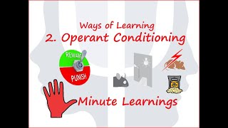 Operant Conditioning, Reinforcement, Reward Punishment, Skinner Box