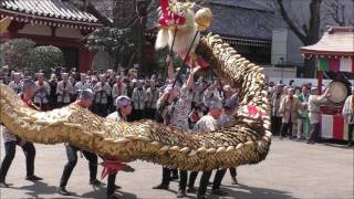 浅草寺　金龍の舞 ： The Golden Dragon Dance of Sensoji-temple in Asakusa, Tokyo