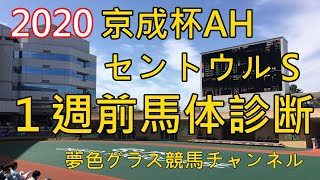 【馬体診断】2020セントウルステークス\u0026京成杯オータムハンデ！いよいよ秋競馬が開幕！