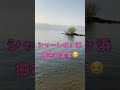 シャーレ水ヶ浜【お気に入りの場所】近江八幡市　琵琶湖湖岸【大人気】