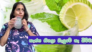 රස්නේ දවසට | sheshadrie krishan krisharya | mojito