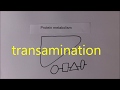 Liver Function 5, Protein metabolism